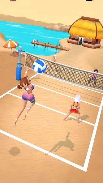 Beach Volleyball Game (Бичволлейбол игра)  [МОД Много денег] Screenshot 1