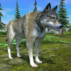 Взлом Wolf Simulator - Animal Games  [МОД Бесконечные деньги] - последняя версия apk на Андроид