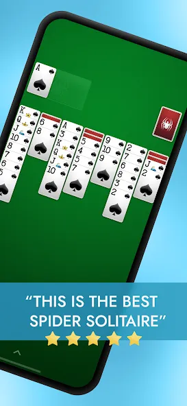 Spider Solitaire  [МОД Бесконечные монеты] Screenshot 1