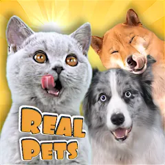Взлом Adopt a pet : Corgi Games (Риал Петс бай Фруви)  [МОД Unlocked] - последняя версия apk на Андроид