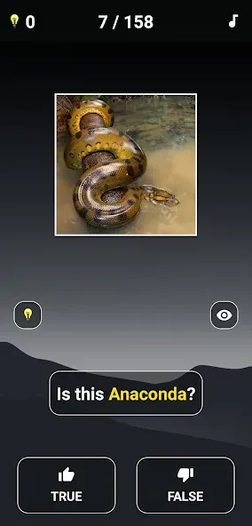 Animal Quiz: Guess the Animal  [МОД Много монет] Screenshot 3