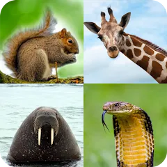 Взлом Animal Quiz: Guess the Animal  [МОД Много монет] - стабильная версия apk на Андроид