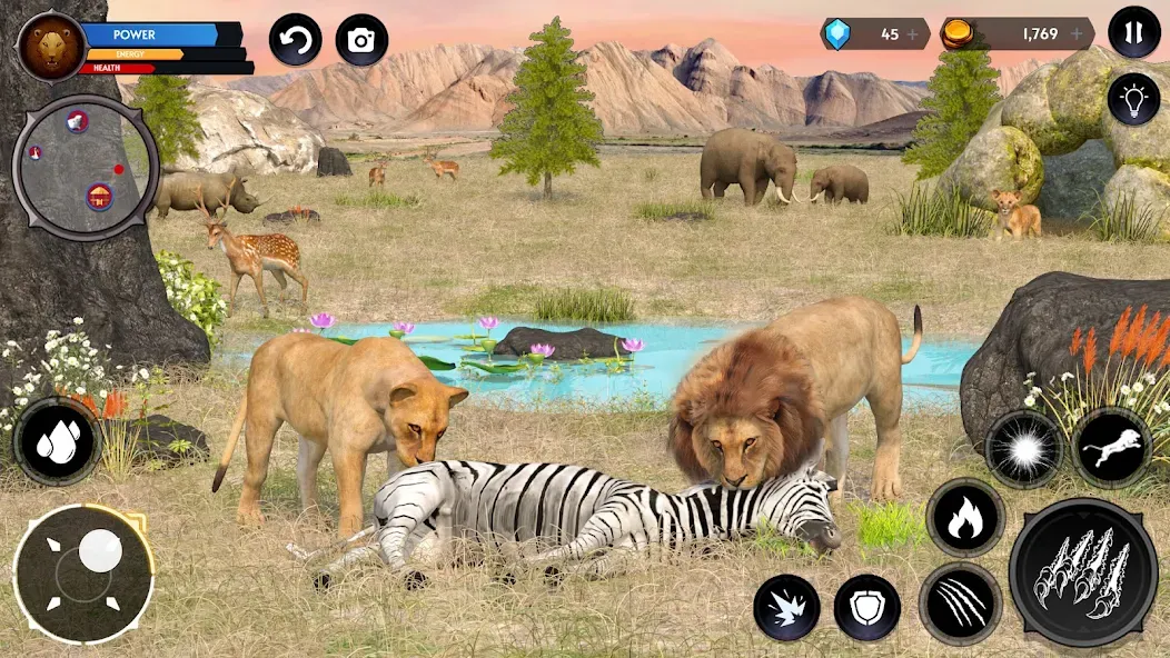 Lion Simulator Wild Lion Games  [МОД Бесконечные монеты] Screenshot 2