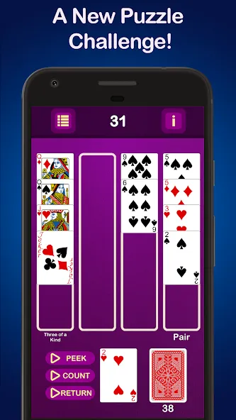 Puzzle Poker Joker's Wild  [МОД Mega Pack] Screenshot 1