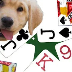 Скачать взломанную K9 Euchre (К9 Юкер)  [МОД Много монет] - стабильная версия apk на Андроид