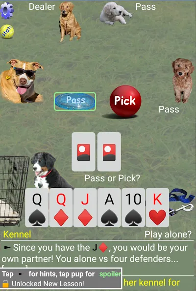 K9 Sheepshead (Schafkopf) (Шипсхед)  [МОД Много монет] Screenshot 2