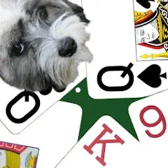 Скачать взлом K9 Sheepshead (Schafkopf) (Шипсхед)  [МОД Много монет] - полная версия apk на Андроид