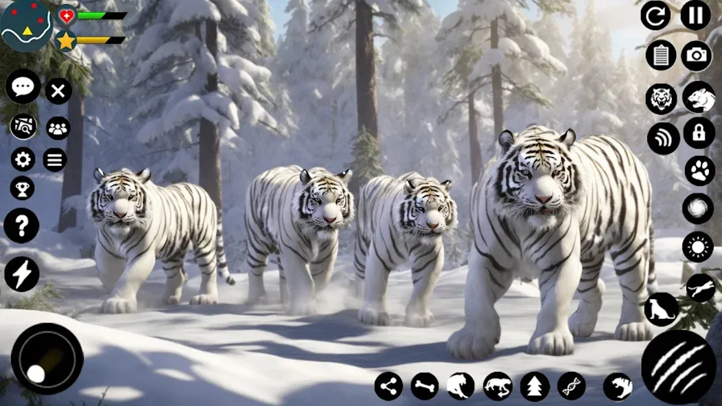 Arctic White Tiger Family Sim  [МОД Бесконечные монеты] Screenshot 4