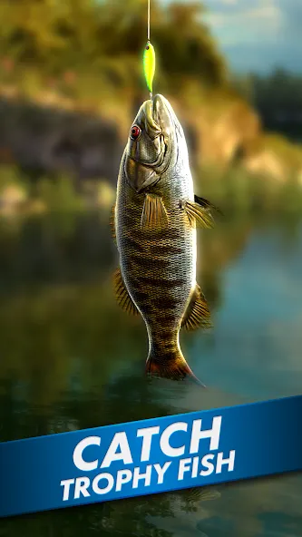 Ultimate Fishing! Fish Game  [МОД Много монет] Screenshot 1