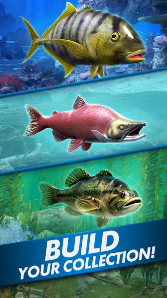 Ultimate Fishing! Fish Game  [МОД Много монет] Screenshot 5