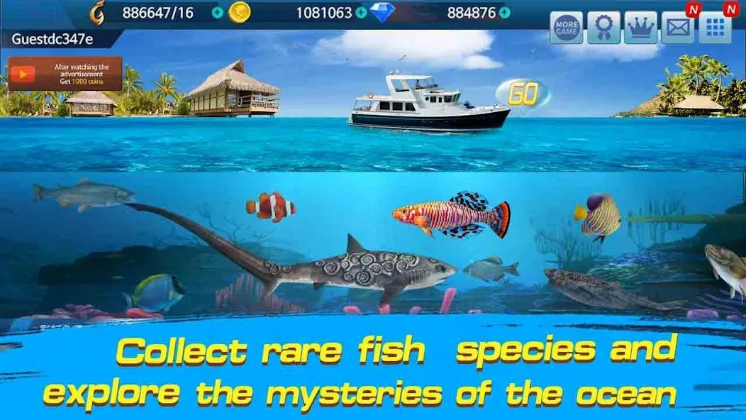 Fishing Championship  [МОД Все открыто] Screenshot 3