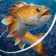 Скачать взлом Fishing Hook  [МОД Unlimited Money] - последняя версия apk на Андроид