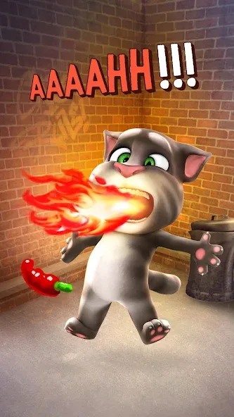 Talking Tom Cat  [МОД Бесконечные деньги] Screenshot 4