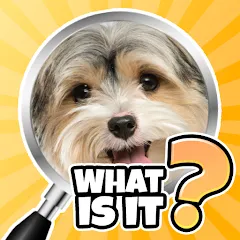 Скачать взломанную What is it? Pics Trivia Quiz  [МОД Menu] - последняя версия apk на Андроид