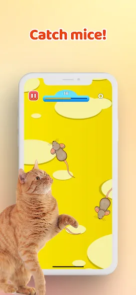 Games for Cat－Toy Mouse & Fish  [МОД Много денег] Screenshot 1