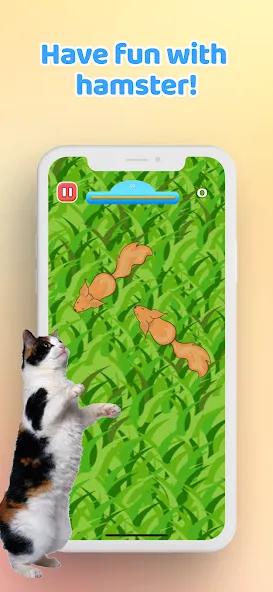 Games for Cat－Toy Mouse & Fish  [МОД Много денег] Screenshot 5