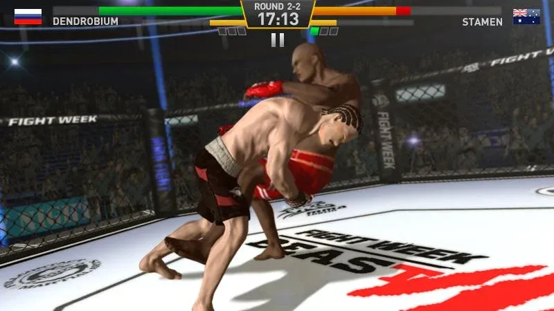 Fighting Star  [МОД Unlocked] Screenshot 4