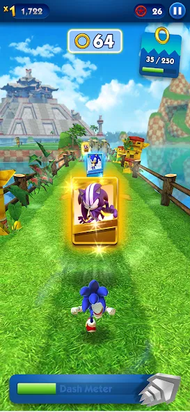 Sonic Dash - Endless Running (Соник Дэш)  [МОД Меню] Screenshot 4