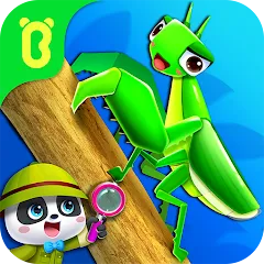 Скачать взлом Little Panda's Insect World  [МОД Бесконечные деньги] - последняя версия apk на Андроид