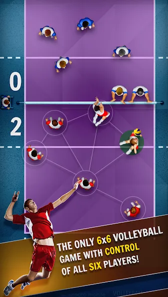 Volleyball Championship (Волейбольный чемпионат)  [МОД Много монет] Screenshot 4