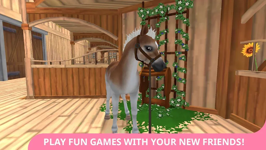 Star Stable Horses (СТар Стабл Хорсес)  [МОД Бесконечные деньги] Screenshot 5