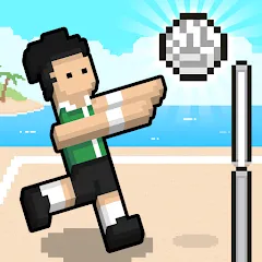 Скачать взломанную Volley Random (Воллей Рэндом)  [МОД Unlocked] - полная версия apk на Андроид