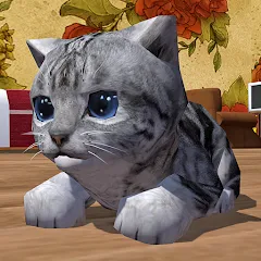 Скачать взлом Cute Pocket Cat 3D (Сьют Покет Кэт 3Д)  [МОД Unlimited Money] - последняя версия apk на Андроид