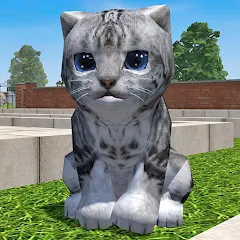 Взломанная Cute Pocket Cat 3D - Part 2 (Сьют Покет Кэт 3Д)  [МОД Бесконечные монеты] - полная версия apk на Андроид