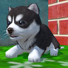 Взломанная Cute Pocket Puppy 3D (Сьют Покет Паппи 3Д)  [МОД Много денег] - последняя версия apk на Андроид