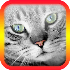 Скачать взломанную Translator for Cats Prank  [МОД Menu] - последняя версия apk на Андроид