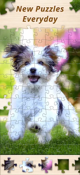 Jigsaw Premium Puzzles HD (Джигсоу)  [МОД Unlocked] Screenshot 5