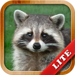 Взлом Animals for Kids  [МОД Бесконечные деньги] - последняя версия apk на Андроид