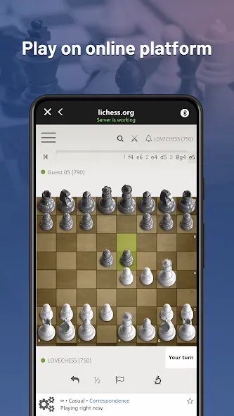 Chessnut (Честнат)  [МОД Бесконечные деньги] Screenshot 2