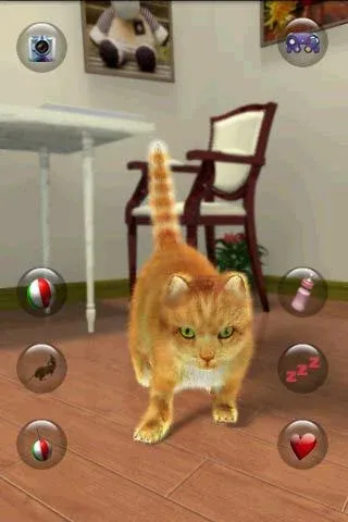 Talking Lovely Cat  [МОД Menu] Screenshot 1