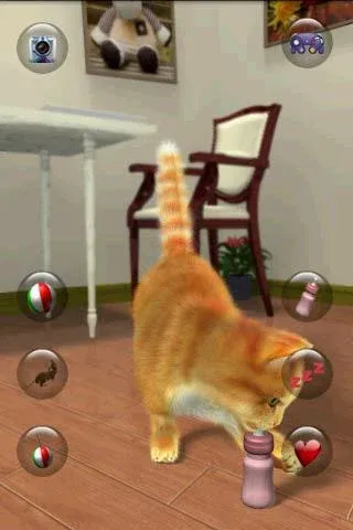 Talking Lovely Cat  [МОД Menu] Screenshot 5